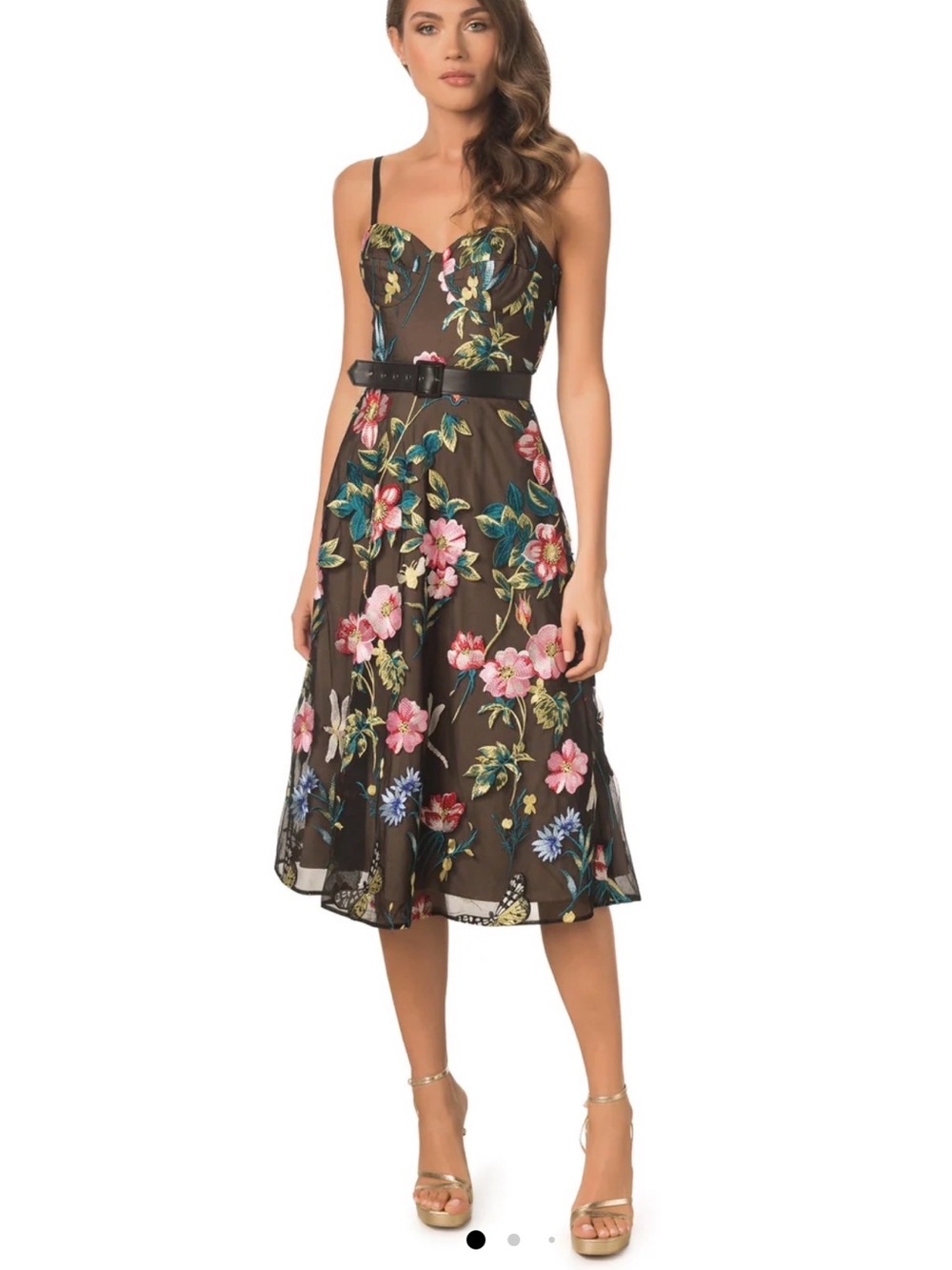 Carlita Butterfly Embroidery Dress